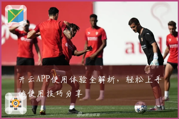 开云APP使用体验全解析，轻松上手的使用技巧分享