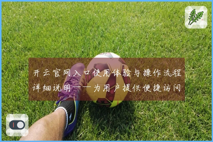 开云官网入口使用体验与操作流程详细说明——为用户提供便捷访问指导